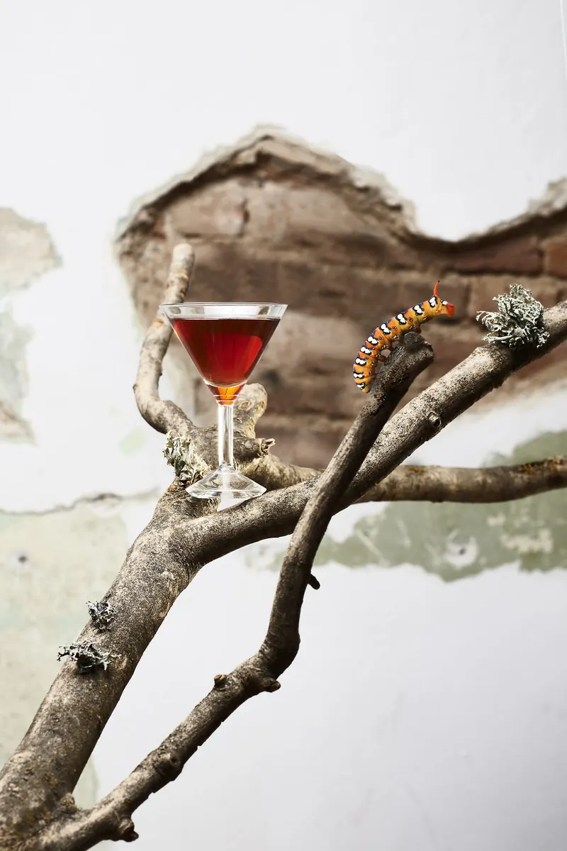 Gin, Allium ursinum frullato, distillato di Cetraria islandica, succo fermentato di Vaccinium vitis-idaea, Martini Rosso