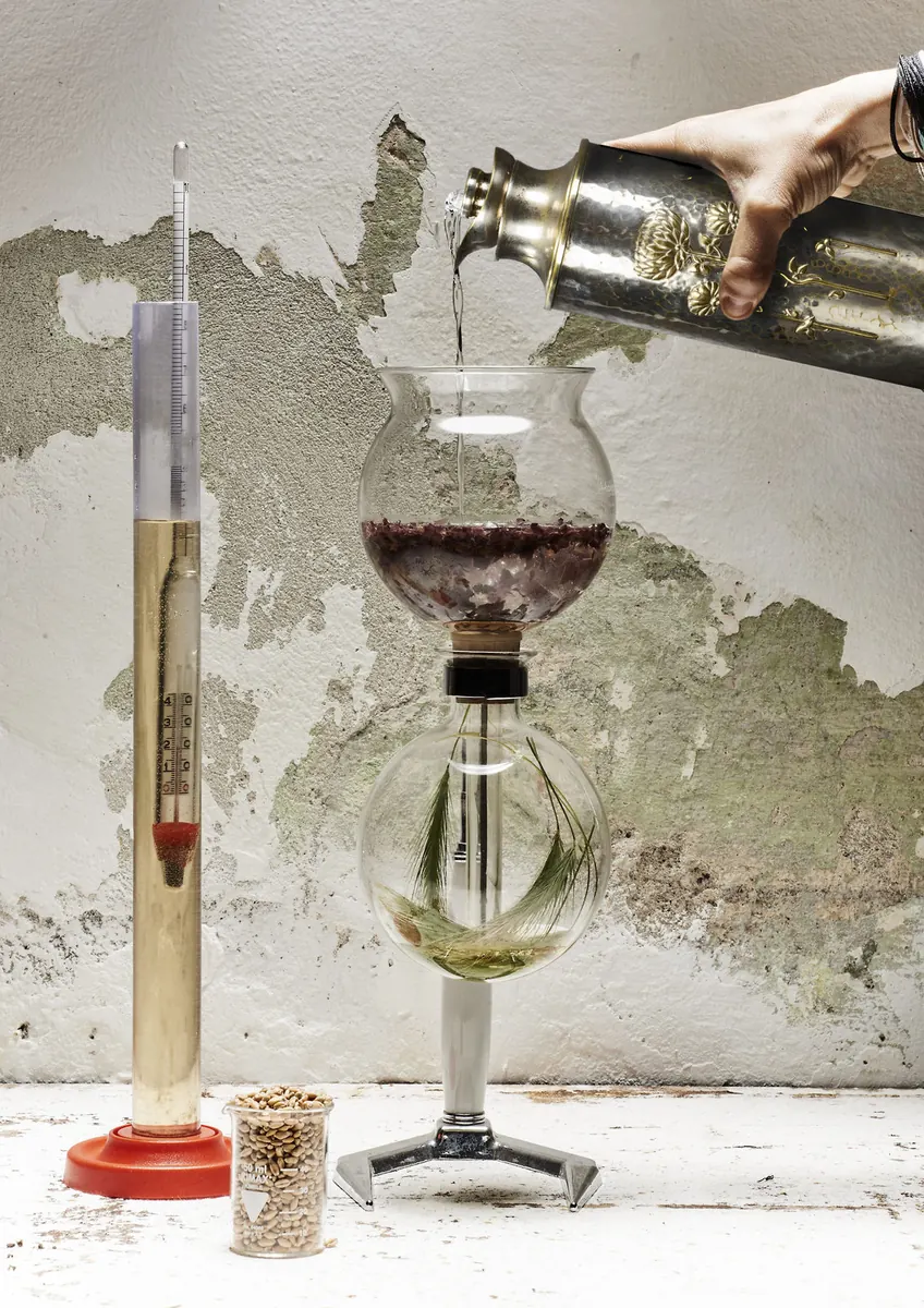 Kishk, vodka, Martini Riserva Speciale Ambrato, rametti di Thymus serpyllum, vino di Sambucus nigra