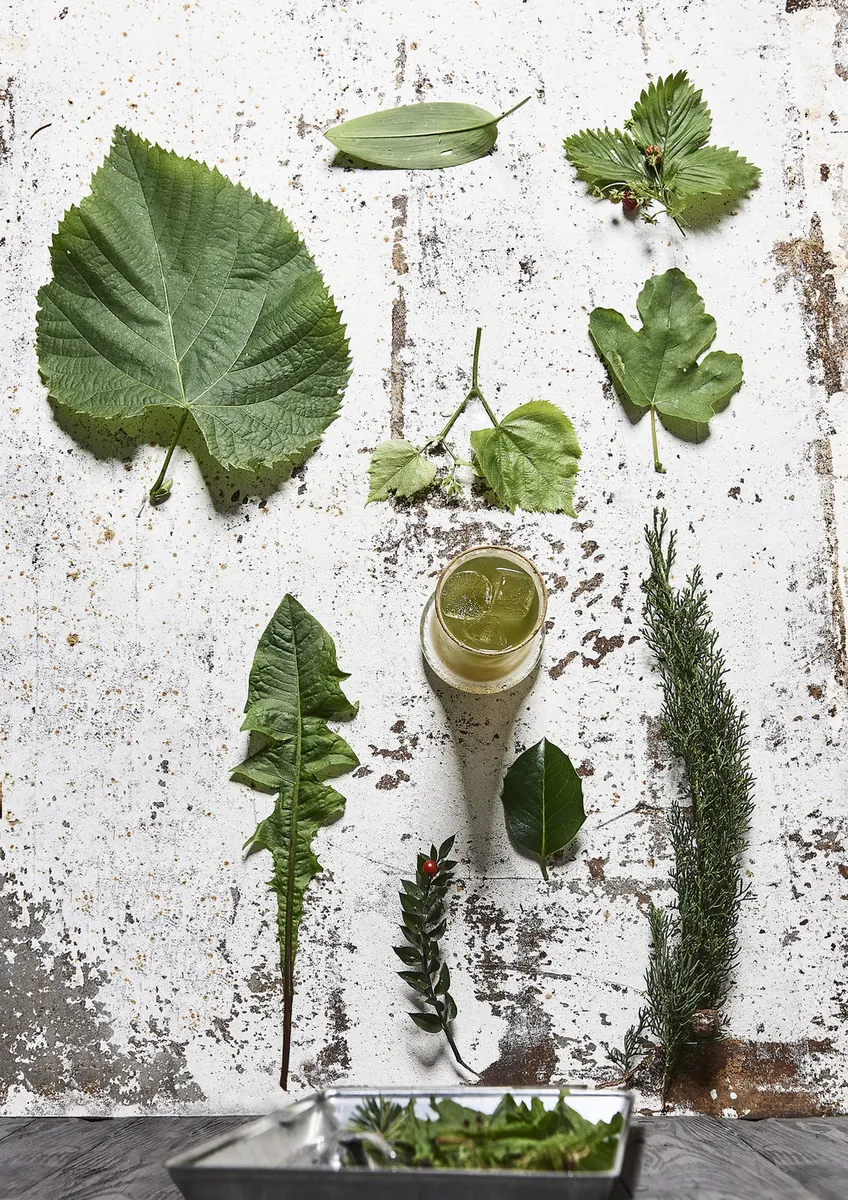 Miele fermentato, rum, galbuli di Cupressus sempervirens, estratti freschi di tarassaco e Rumex acetosa, polvere di rizoma di Polypodium vulgare