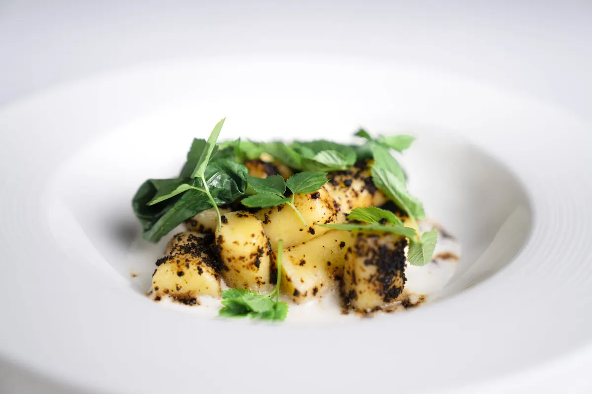 Gnocchi di patata e pastinaca, terra di radici, kefir salato al burro e caprino ed erbe selvatiche cotte e crude