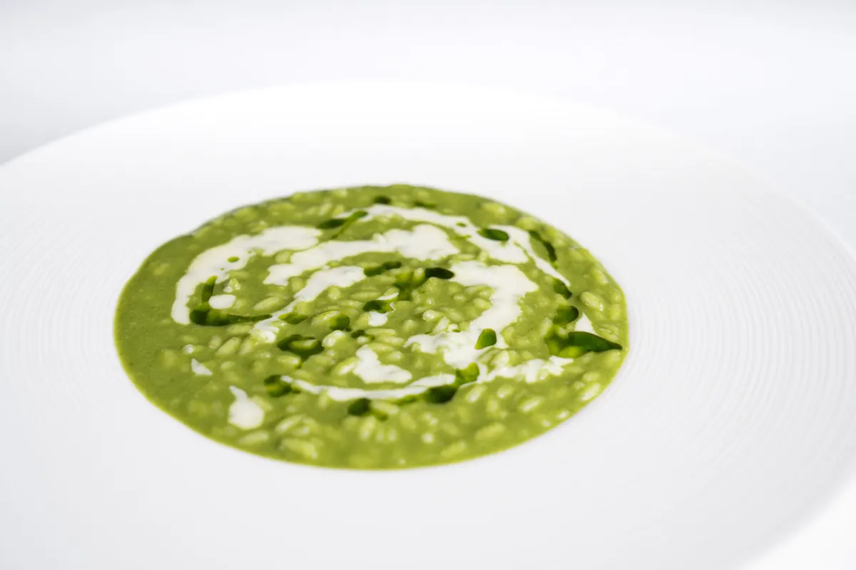 Risotto al latte, abete rosso e casera