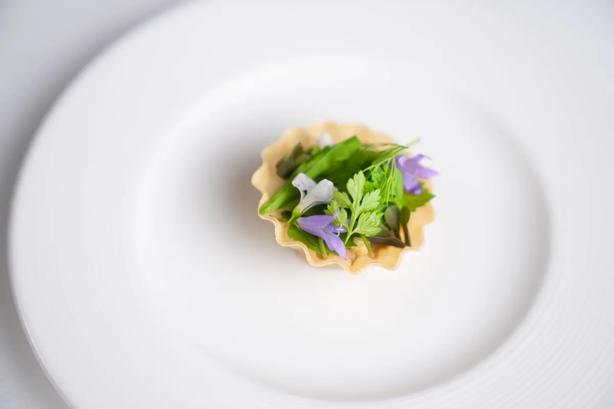 Tartelletta, crema di funghi, ceviche di radici, erbe e fiori selvatici