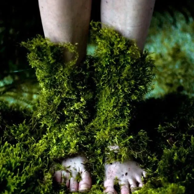 Eat Your Habitat per Sphera Festival 2024