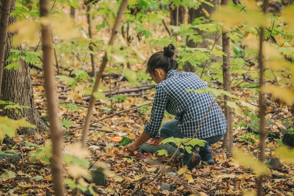 Il foraging di erbe selvatiche e specie animali invasive per combattere la pericolosità per uomo, la biodiversità e l'economia.
