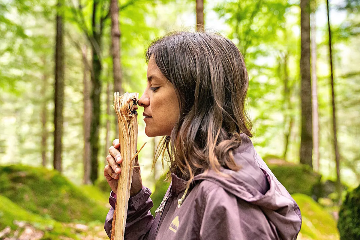 Il bosco in tavola con il foraging e le erbe selvatiche: Valeria Margherita Mosca racconta il suo rapporto con la foresta e il suo Wood\*ing Wild Food Lab.